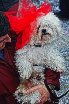Viareggio carnevale270