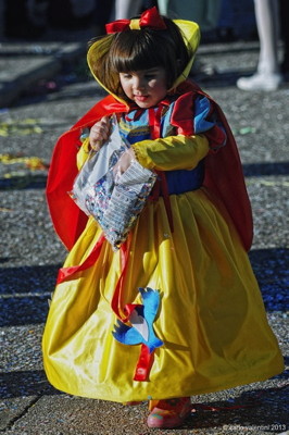 Viareggio carnevale880