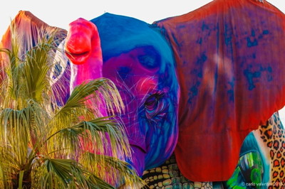 Viareggio carnevale1408