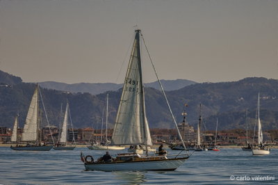 Xvi vele storiche viareggio080