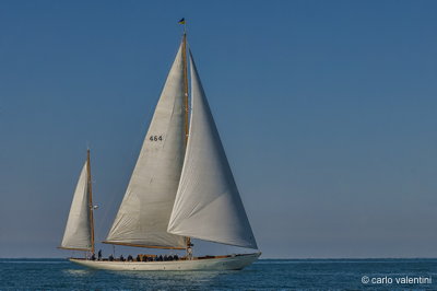 Xvi vele storiche viareggio100