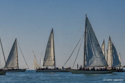 Xvi vele storiche viareggio104