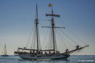 Xvi vele storiche viareggio152