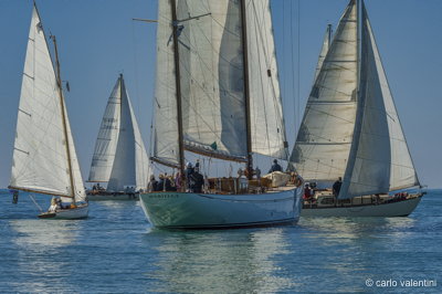 Xvi vele storiche viareggio155