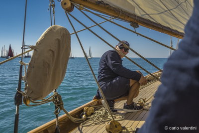 Xvi vele storiche viareggio195