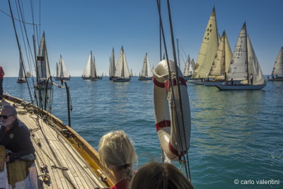 Xvi vele storiche viareggio197
