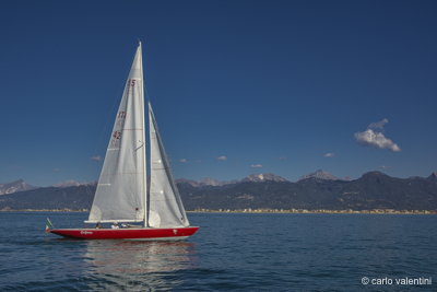 Xvi vele storiche viareggio198