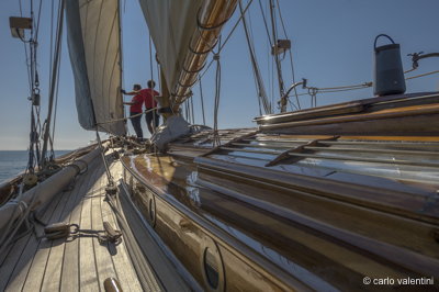 Xvi vele storiche viareggio229