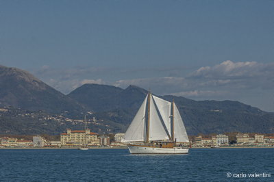 Xvi vele storiche viareggio231