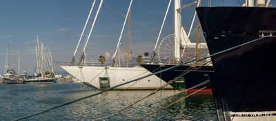 Viareggio7192