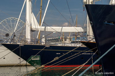 Viareggio7194