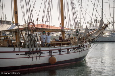 Viareggio7235pandora