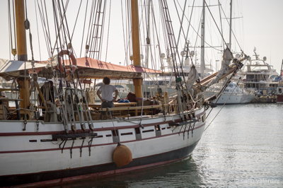 Viareggio7236pandora