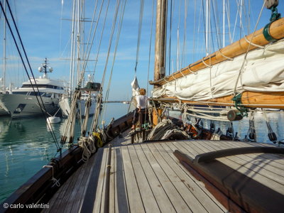 Viareggio7239