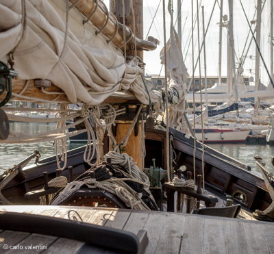 Viareggio7241