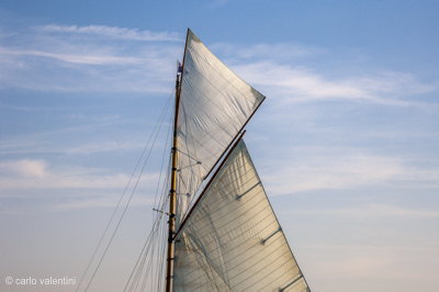 Viareggio7278
