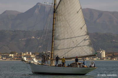 Viareggio7703