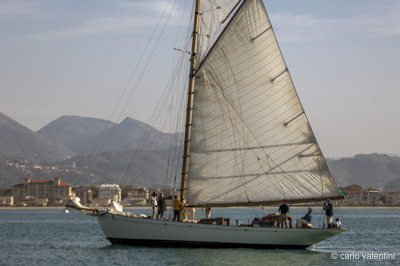Viareggio7705