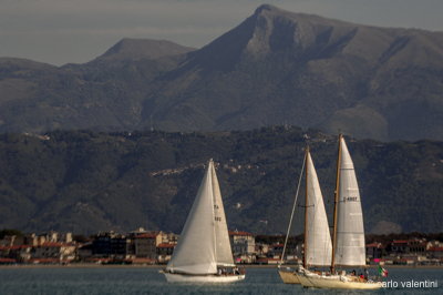 Viareggio7706