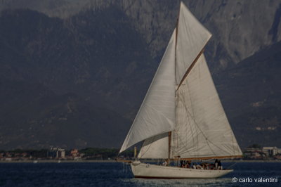 Viareggio7707