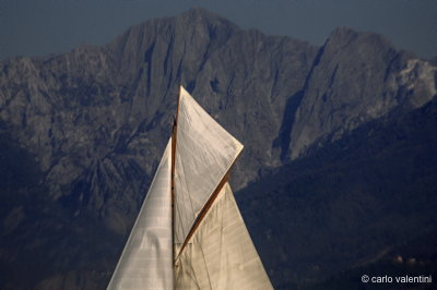Viareggio7708