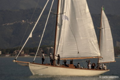 Viareggio7713