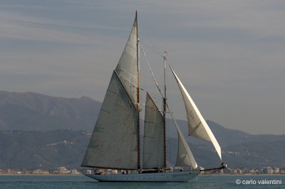 Viareggio7721