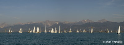 Viareggio7768