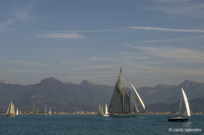 Viareggio7775