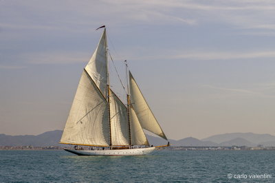 Viareggio7777