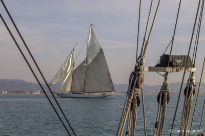 Viareggio7784