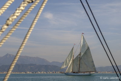 Viareggio7787