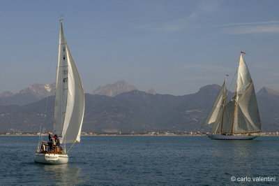 Viareggio7790