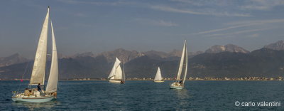 Viareggio7792