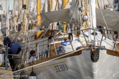 Viareggio vele storiche015