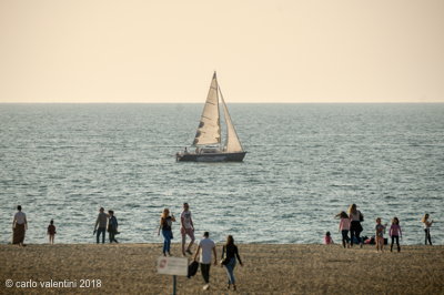 Viareggio vele storiche020
