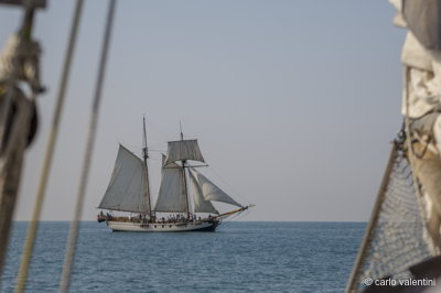 Viareggio vele storiche063