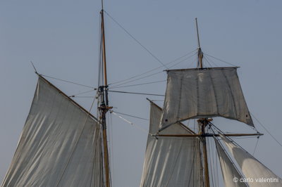 Viareggio vele storiche074