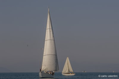 Viareggio vele storiche075
