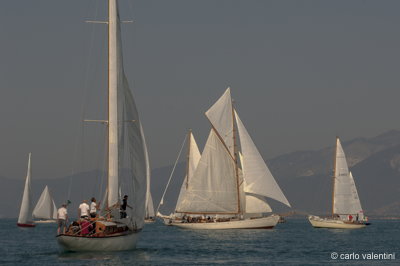 Viareggio vele storiche082