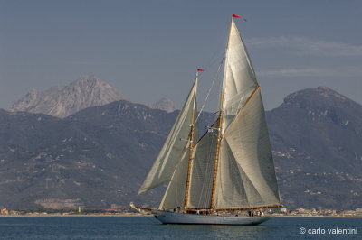 Viareggio vele storiche086