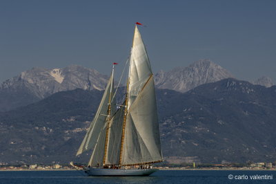 Viareggio vele storiche094