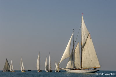 Viareggio vele storiche101