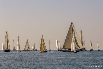 Viareggio vele storiche102