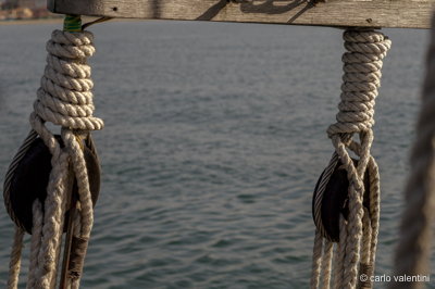 Viareggio vele storiche120