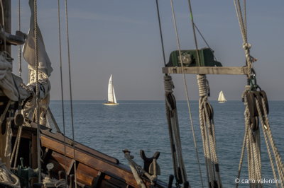 Viareggio vele storiche122