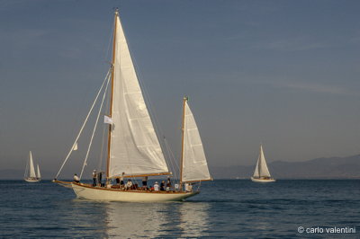 Viareggio vele storiche134