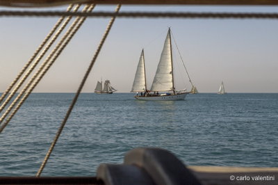 Viareggio vele storiche136