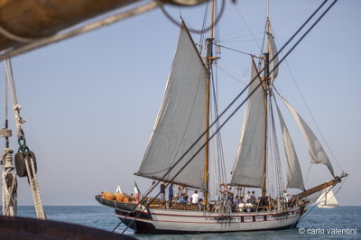 Viareggio vele storiche142
