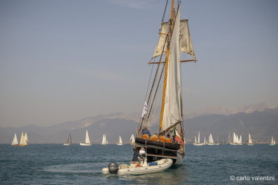 Viareggio vele storiche146